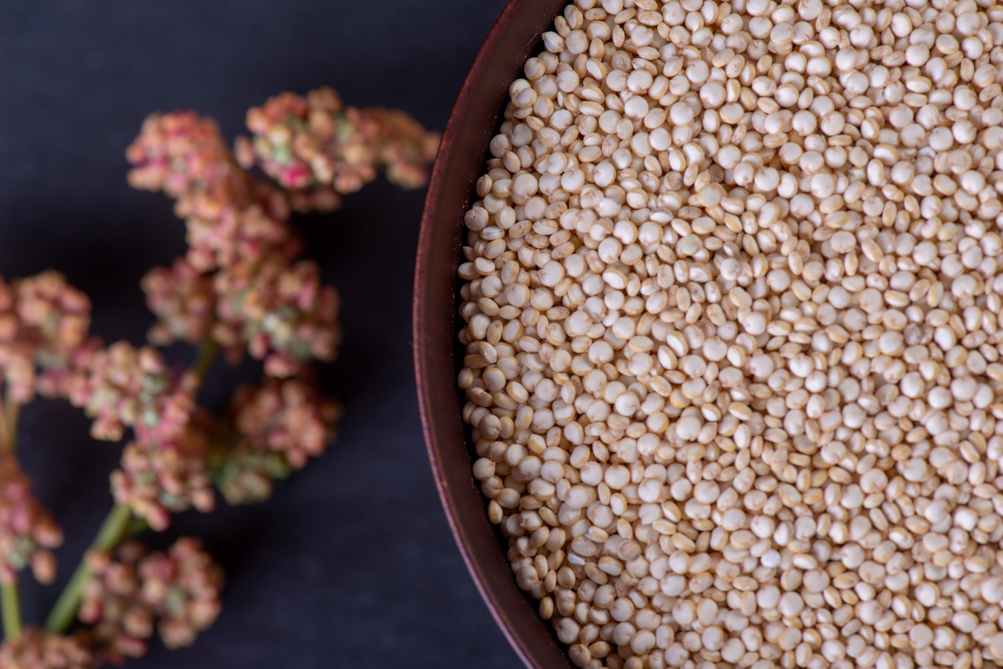 Quinoa seeds