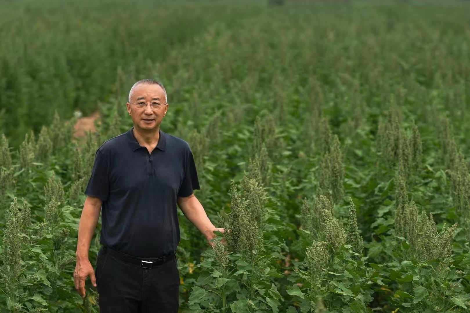 Jiaqi founder Xiangyun Wu in a quinoa research field