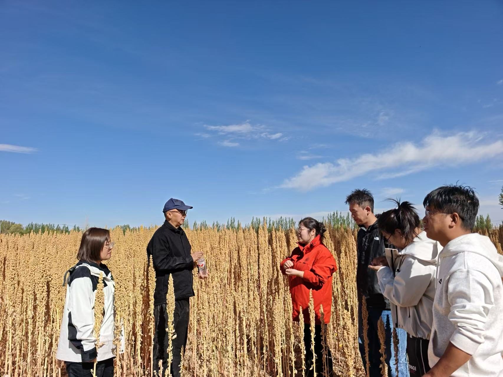 Jiaqi team discussing in a Qinghai quinoa field