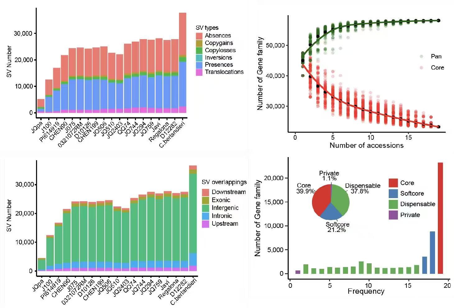 Quinoa structural variation and pan-genome analysis