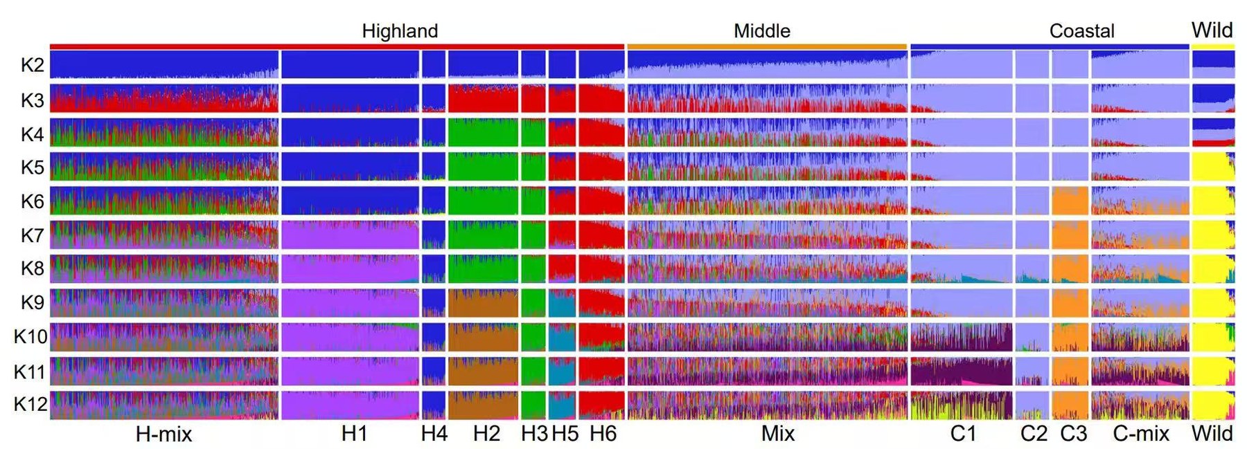 Quinoa population structure analysis